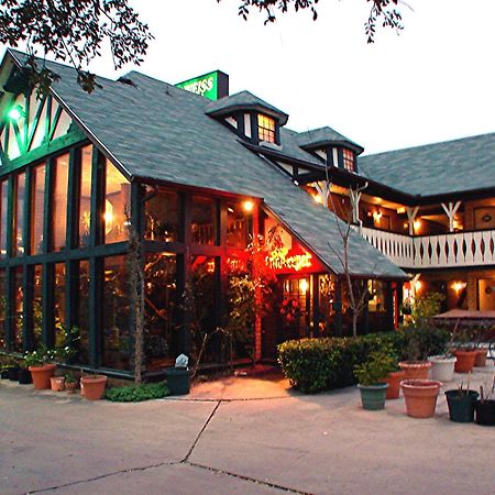 Edelweiss Inn New Braunfels Bagian luar foto