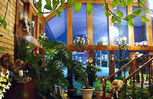 Edelweiss Inn New Braunfels Bagian luar foto